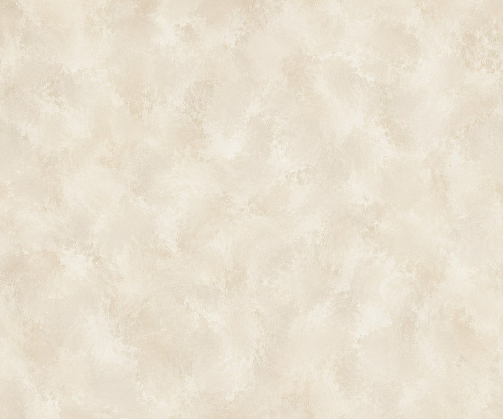 Warm Ivory Beige Limewash preview